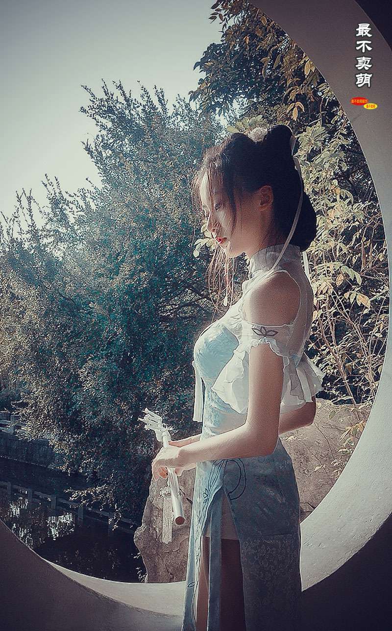 チャイナ服  優雅な蝶と竹柄チャイナドレス